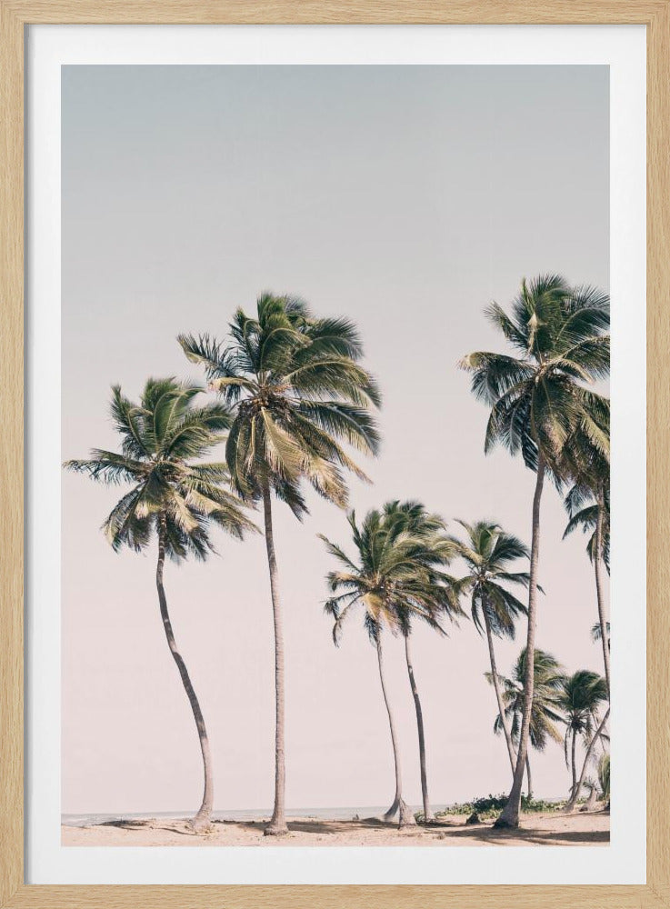 Blozende tropische bomen | Poster
