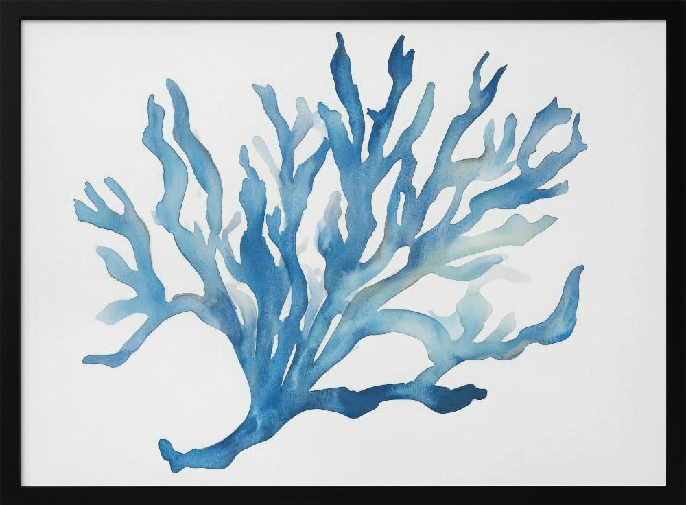 Blauw Koraal | Poster