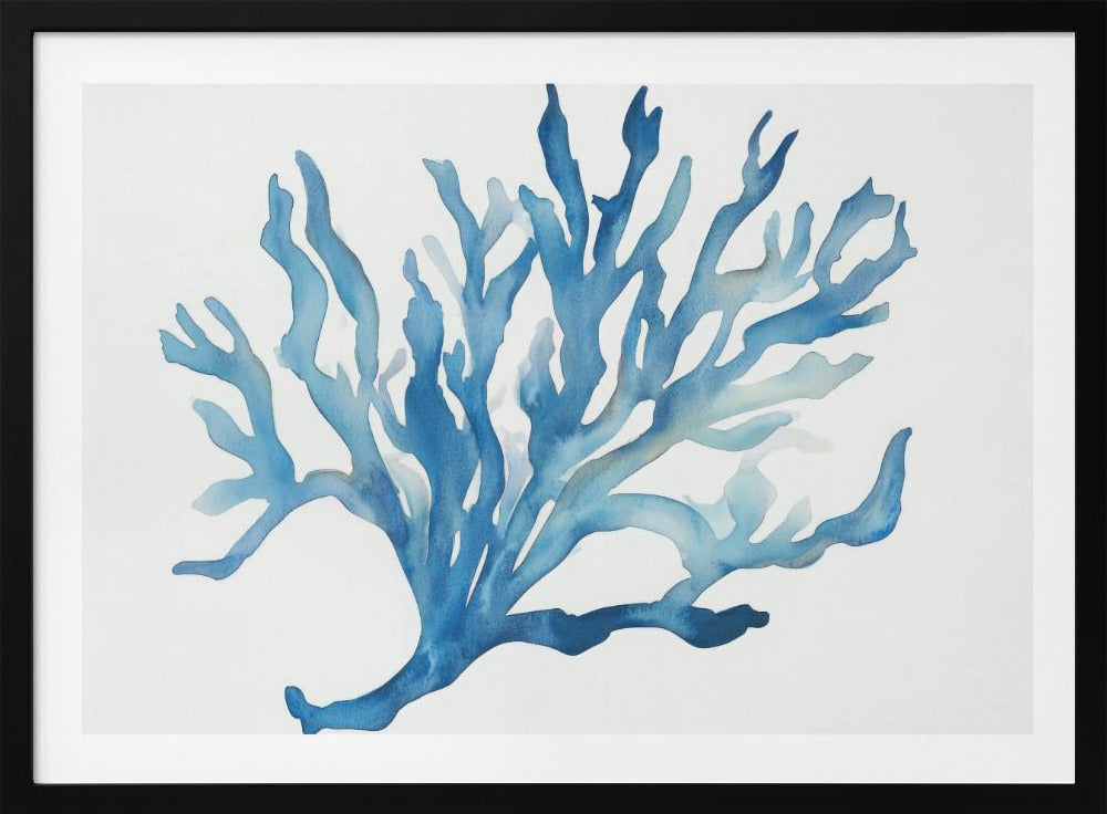 Blauw Koraal | Poster
