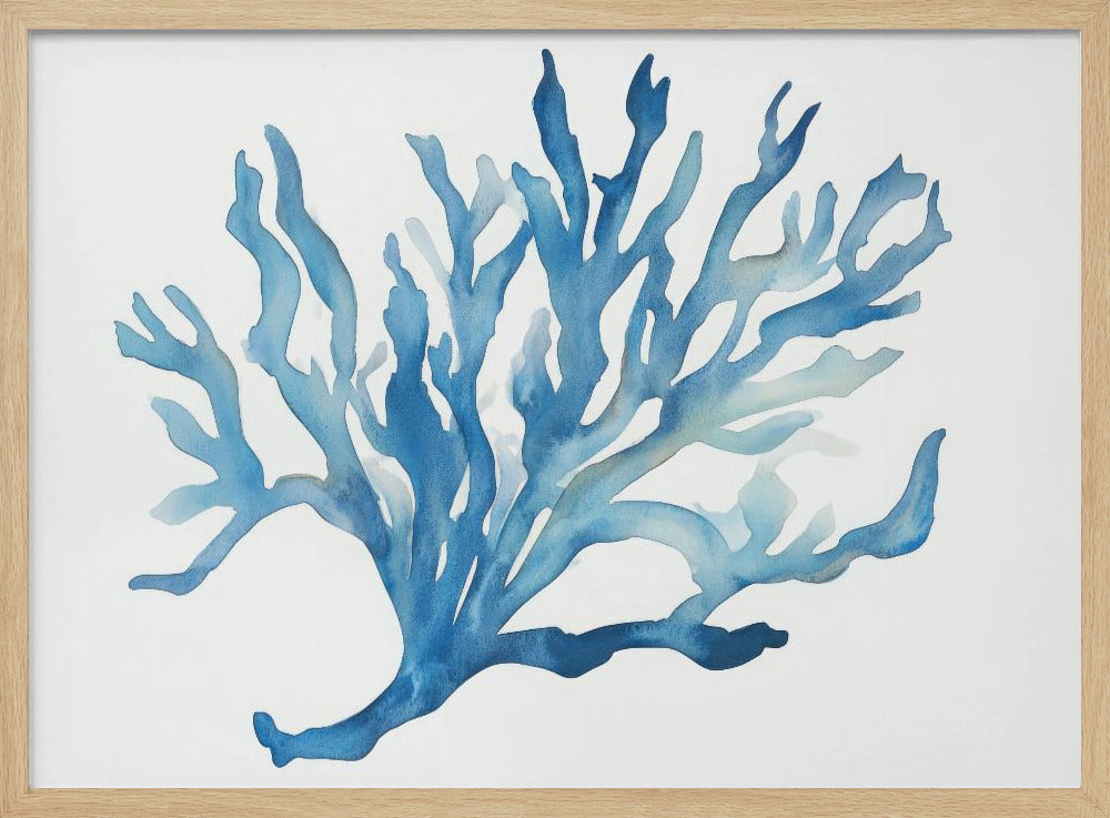 Blauw Koraal | Poster