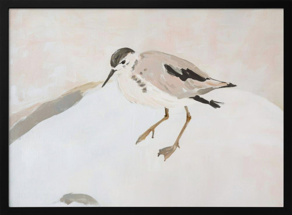 Schattige strandvogel | Poster