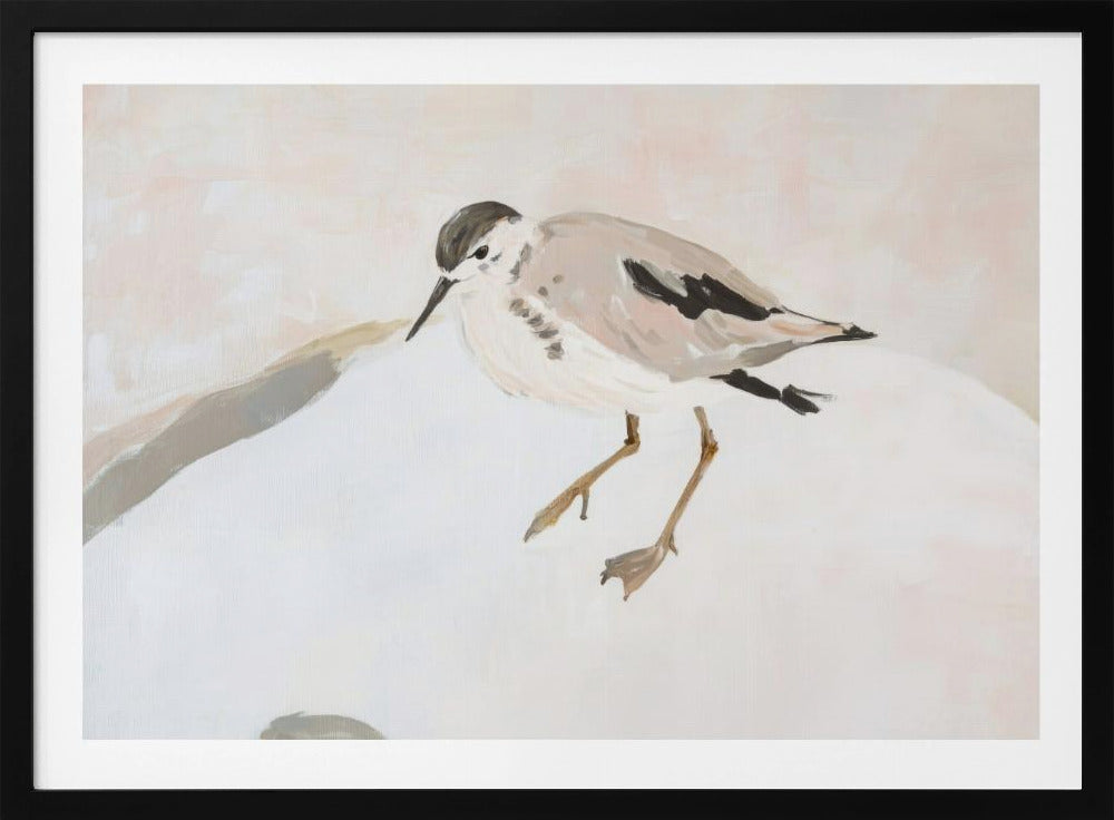 Schattige strandvogel | Poster
