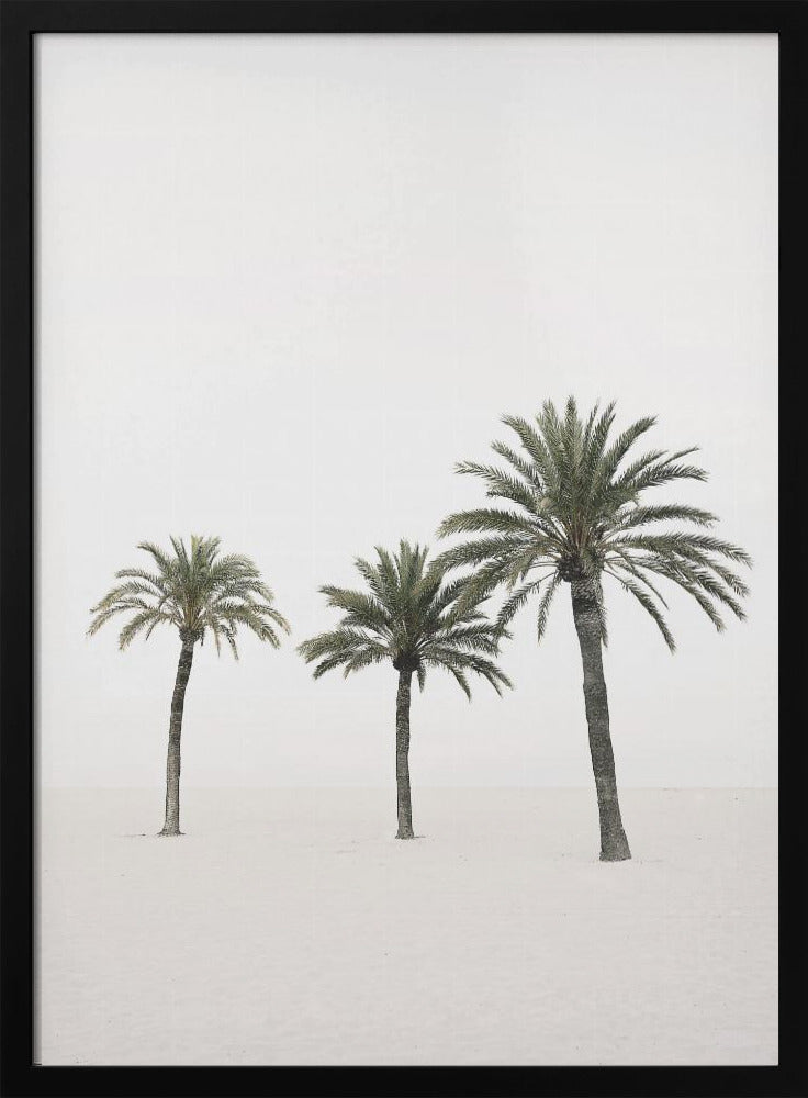 Palmen | Poster