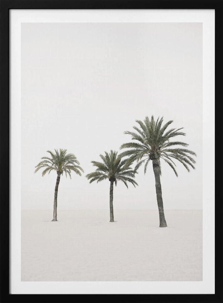 Palmen | Poster