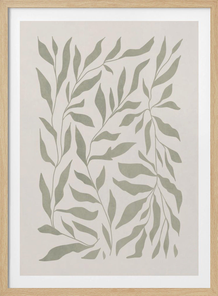 Olijfgroene bladeren | Poster