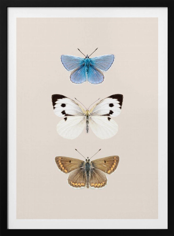 Engelse vlinders 2 | Poster