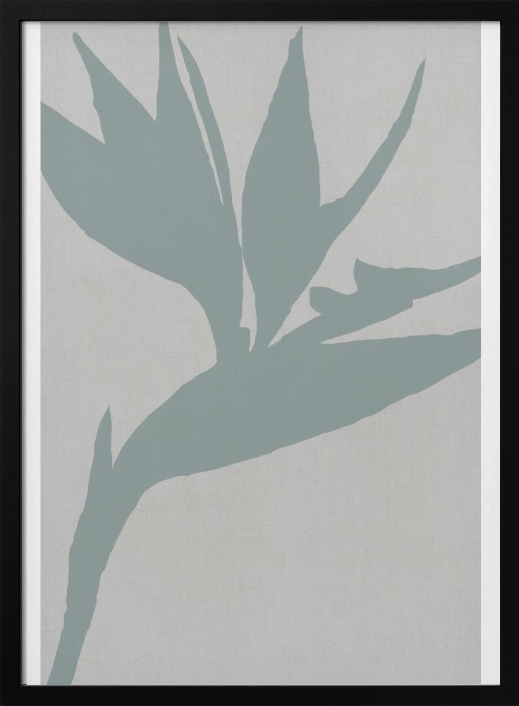 Paradijsvogel | Poster