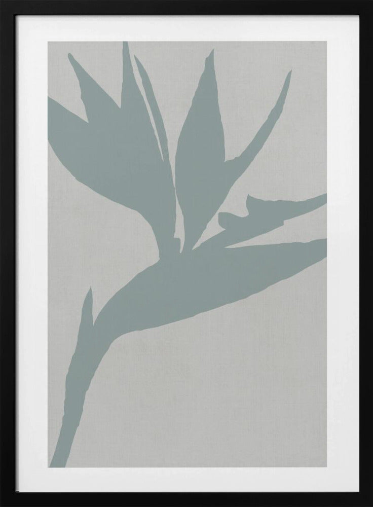 Paradijsvogel | Poster
