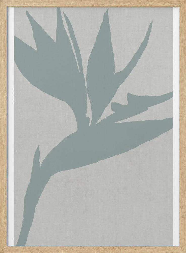 Paradijsvogel | Poster