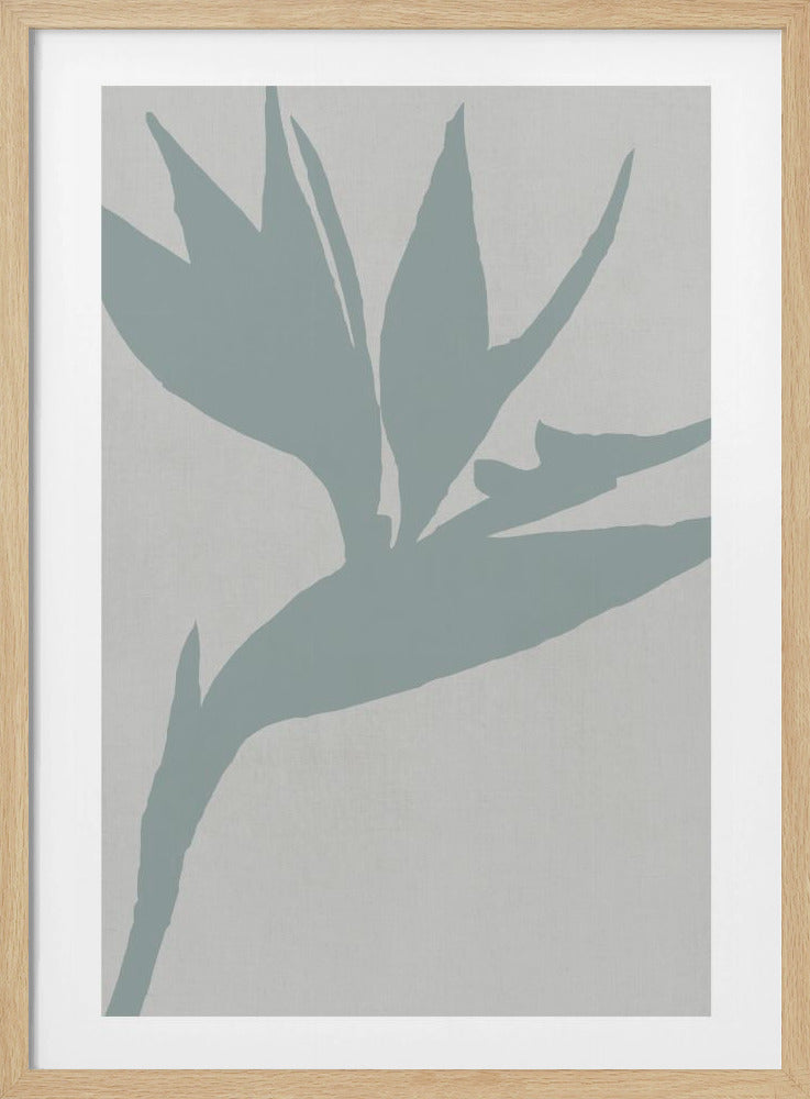 Paradijsvogel | Poster