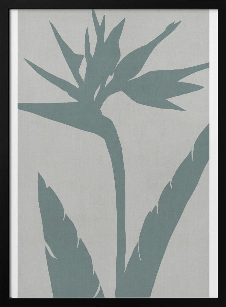 Paradijsvogel | Poster