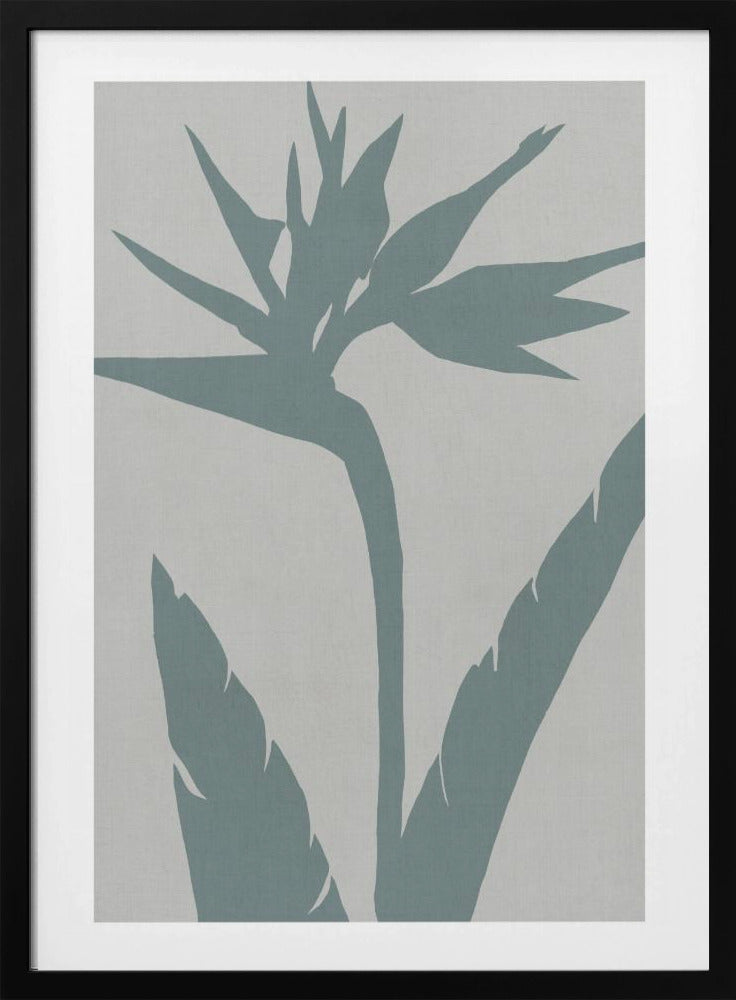Paradijsvogel | Poster