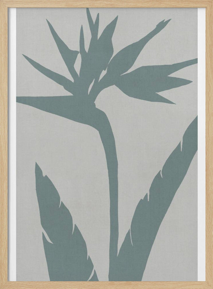 Paradijsvogel | Poster