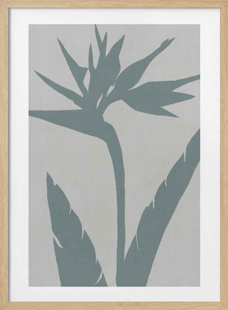 Paradijsvogel | Poster