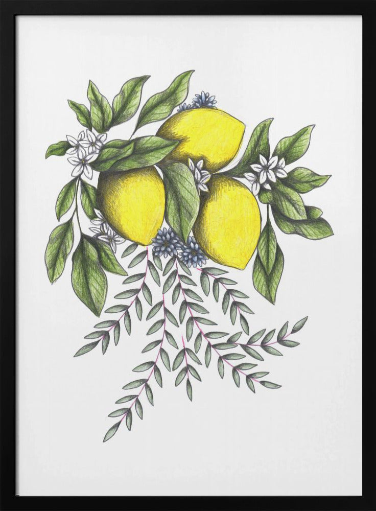 Citroenen en groene bladeren met delicate witte bloesems | Poster
