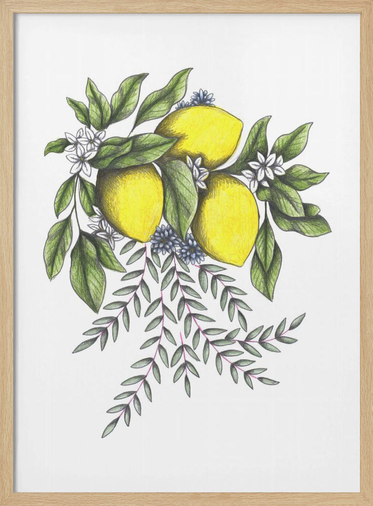 Citroenen en groene bladeren met delicate witte bloesems | Poster