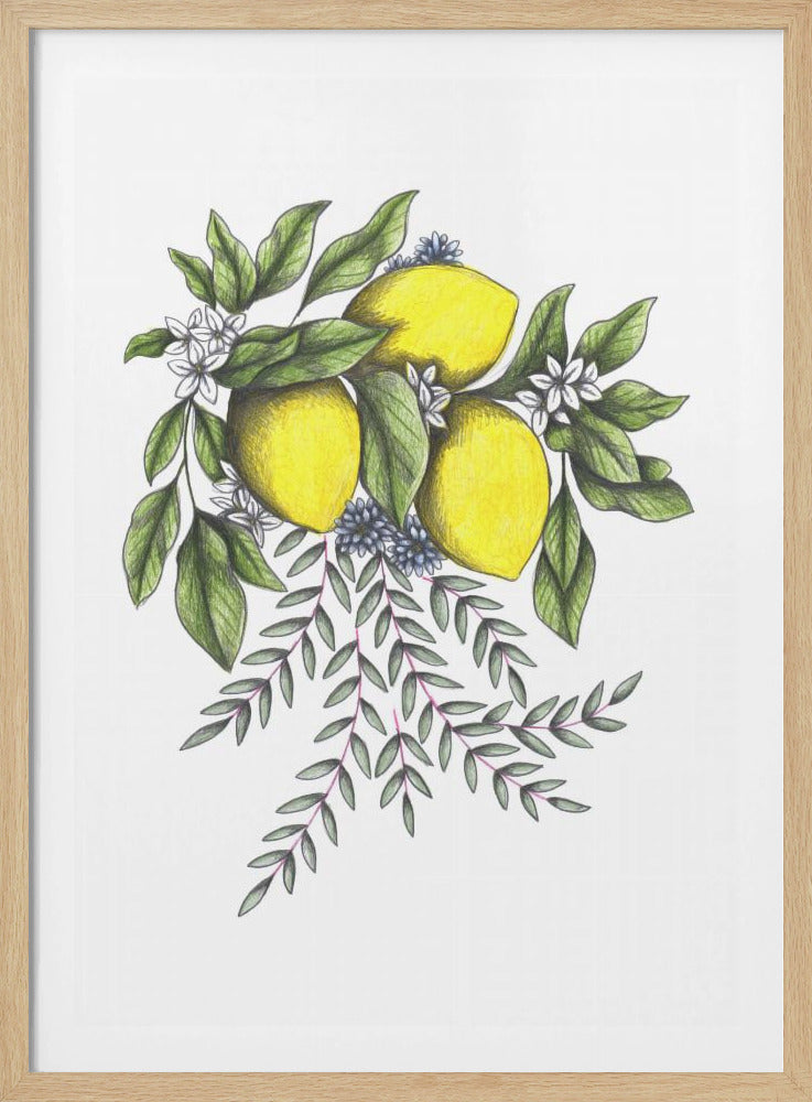 Citroenen en groene bladeren met delicate witte bloesems | Poster