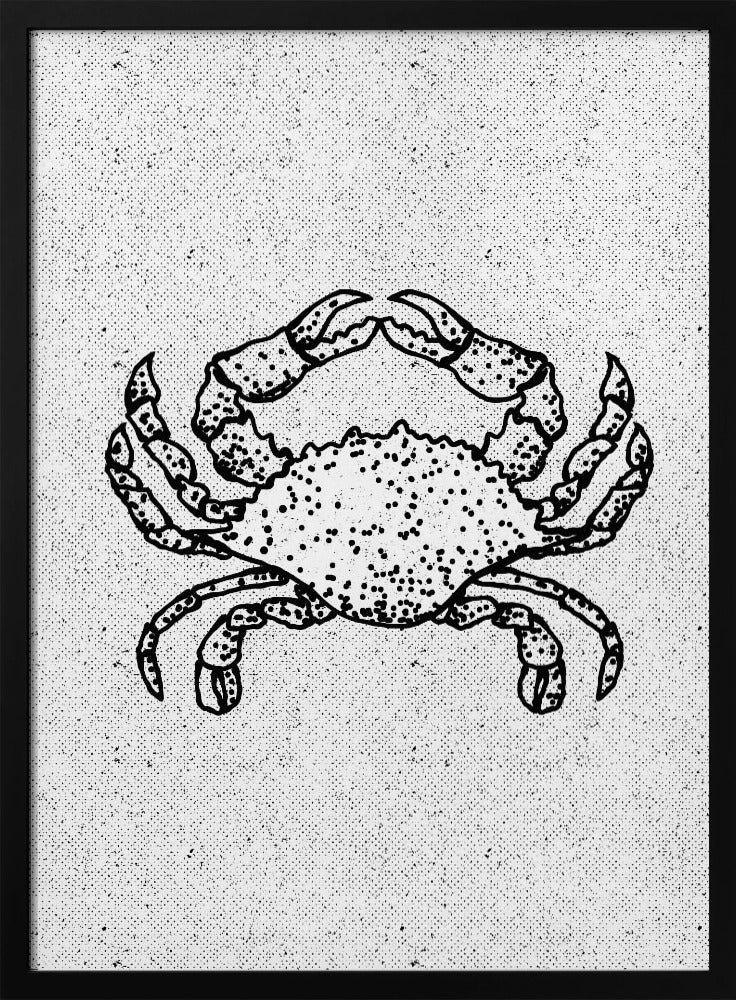 Zwart-witte krab | Poster