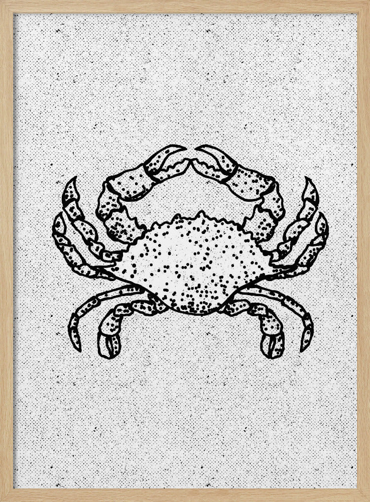 Zwart-witte krab | Poster