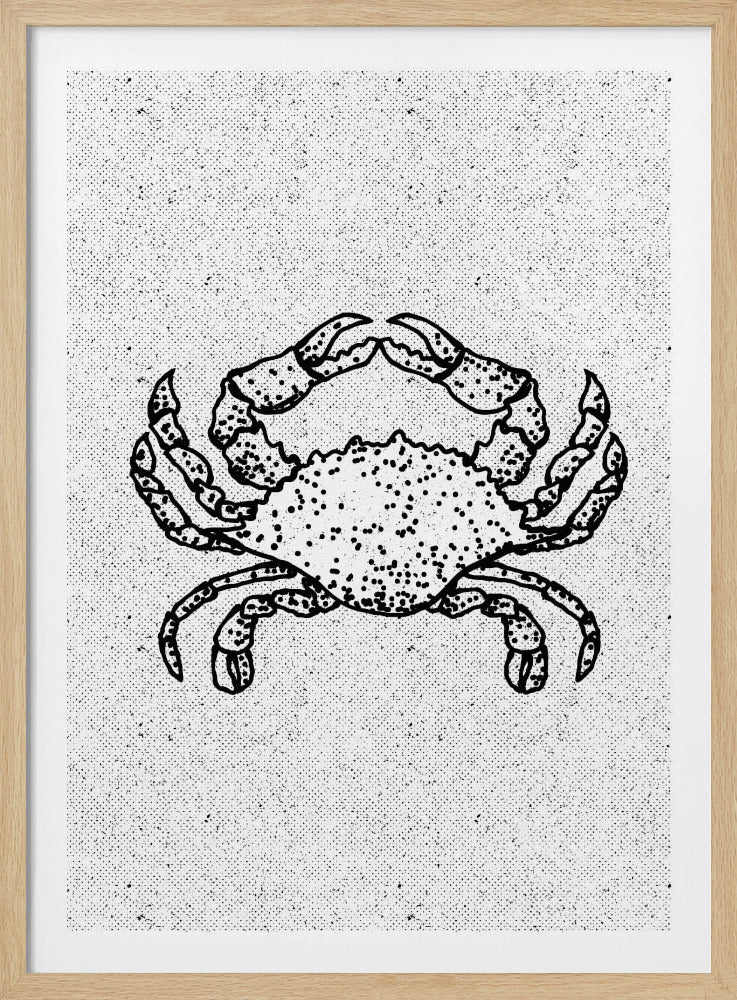 Zwart-witte krab | Poster