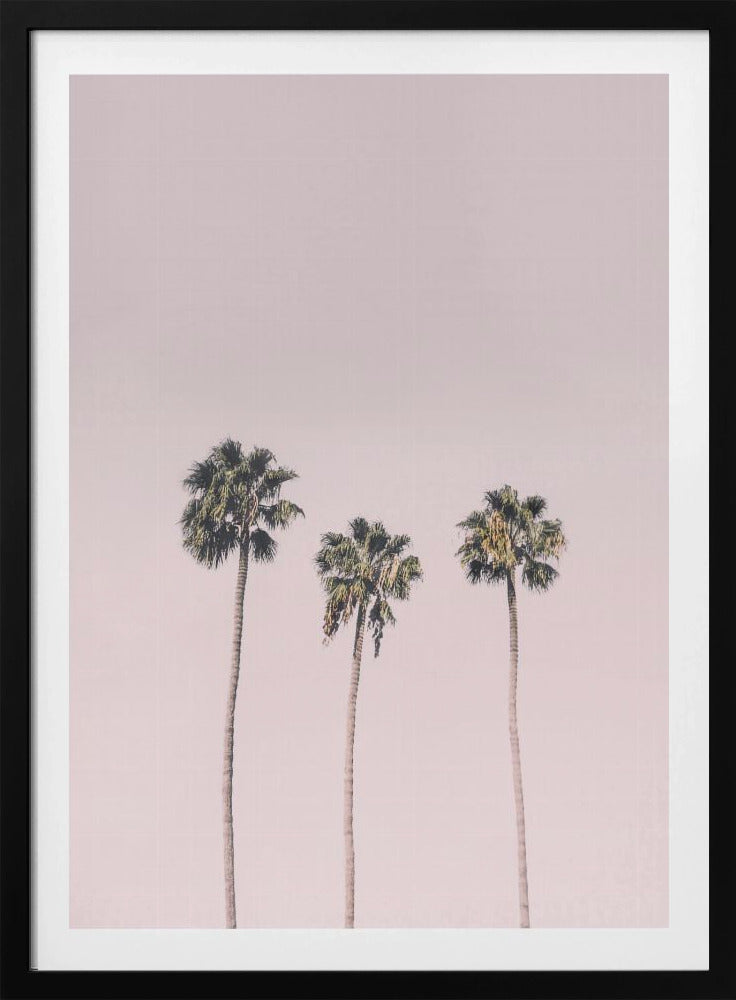 Palmen op roze | Poster