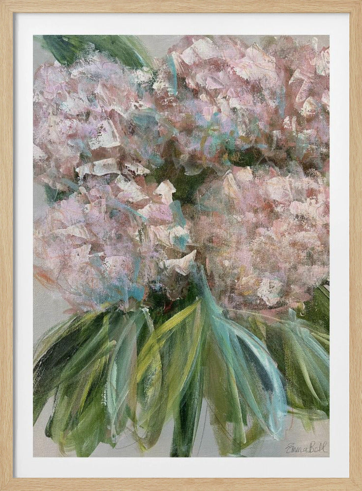 Roze hortensia's met groene bladeren | Poster