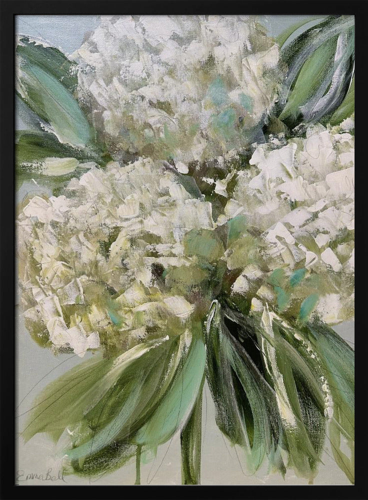 Witte hortensia's met weelderige groene bladeren | Poster