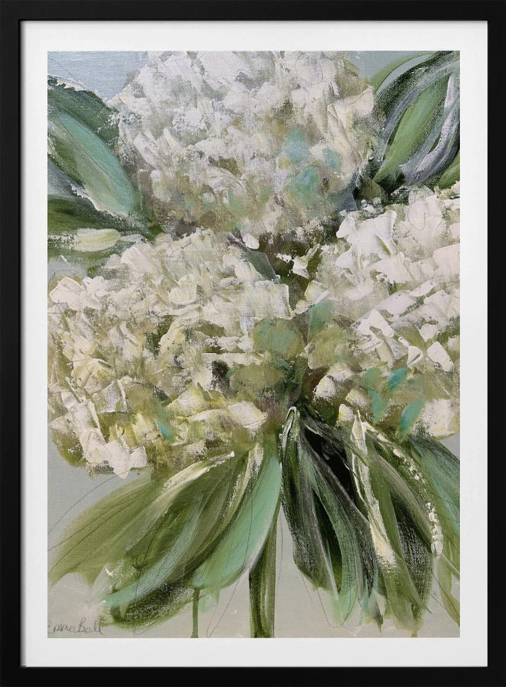 Witte hortensia's met weelderige groene bladeren | Poster