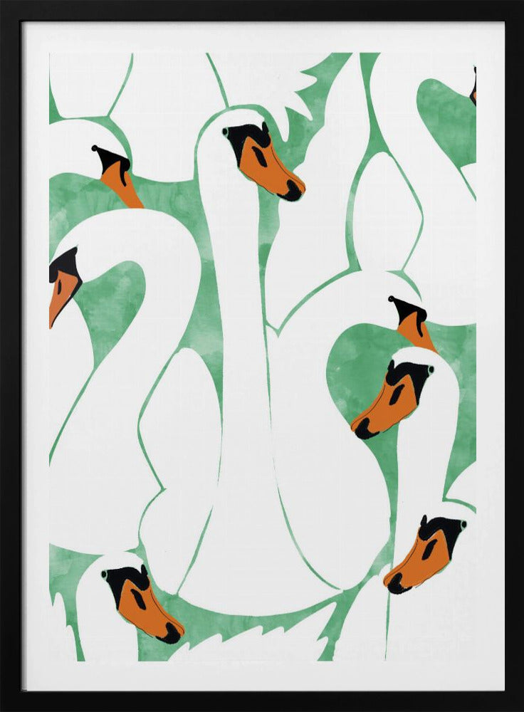 Sierlijke zwanen | Poster