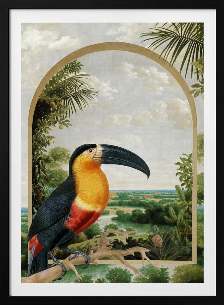Toekan op een tak | Poster