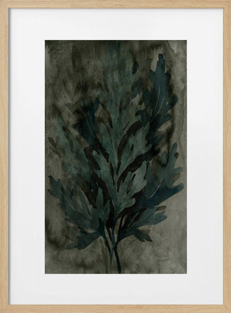 Diepwaterbloei 3 | Poster