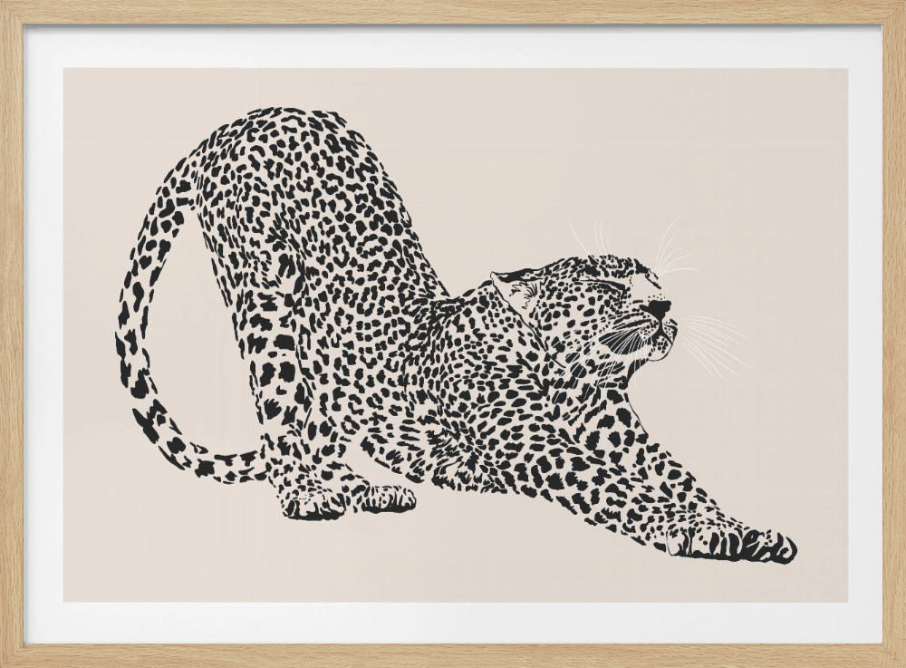 Cheeta | Poster