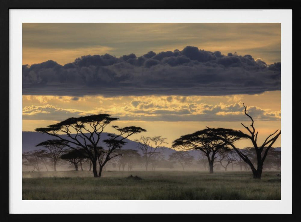 Goedenavond Tanzania | Poster