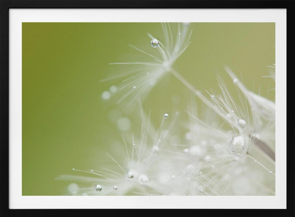 Groen | Poster