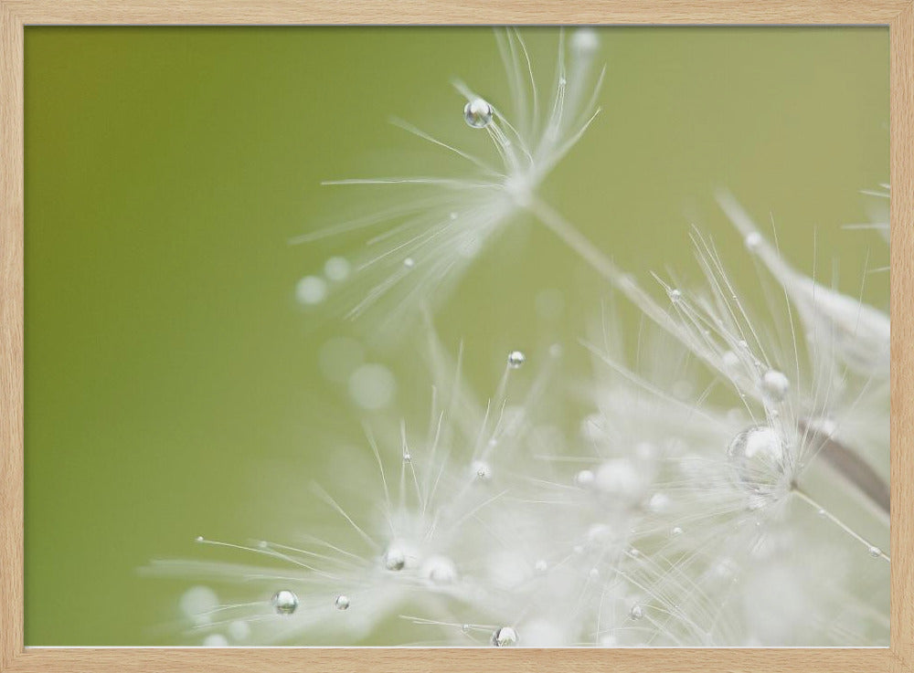 Groen | Poster
