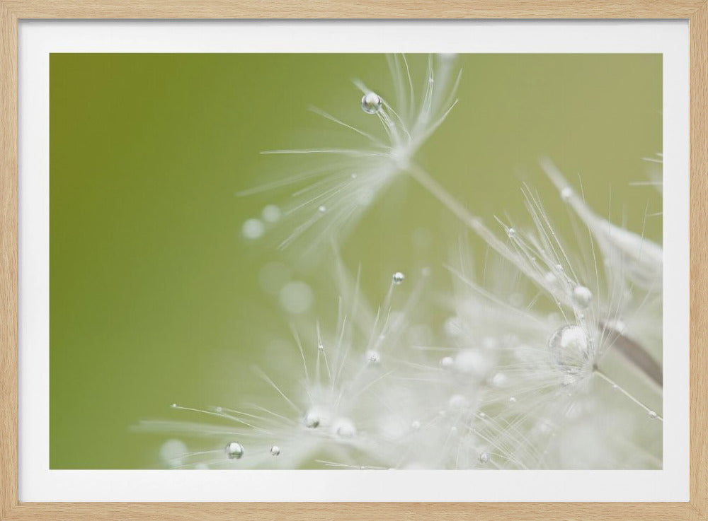 Groen | Poster