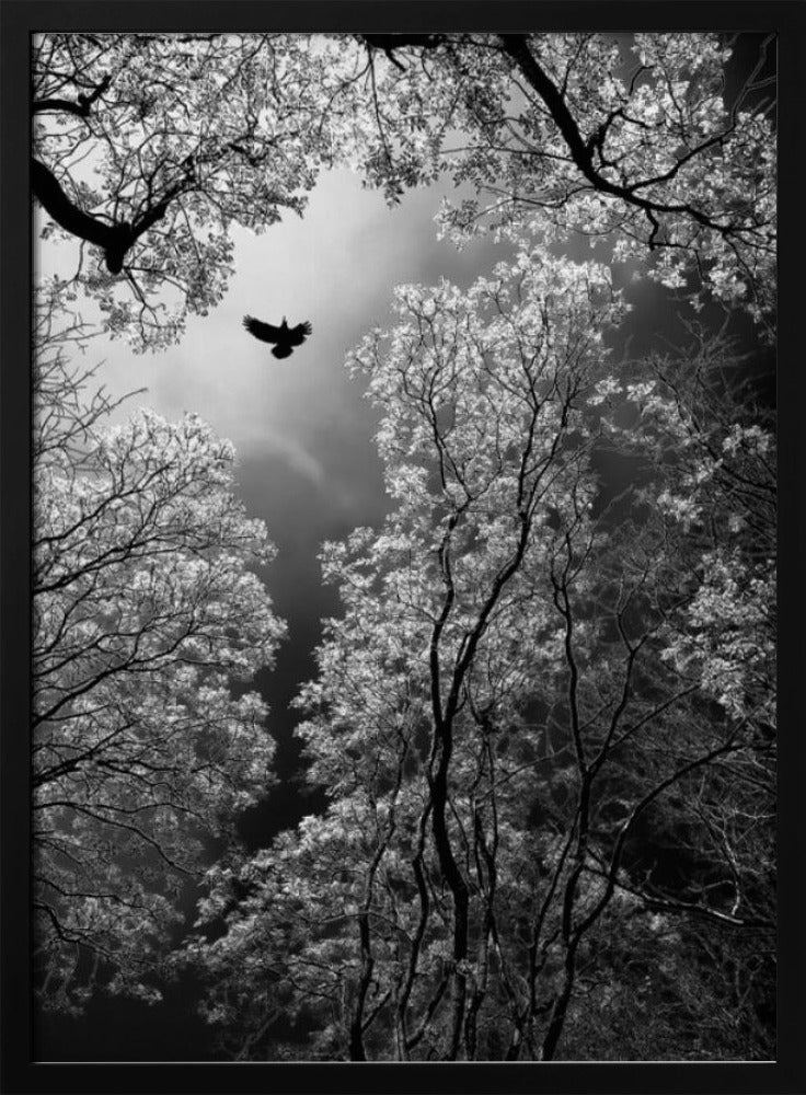 Vlucht | Poster