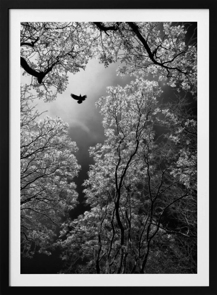 Vlucht | Poster