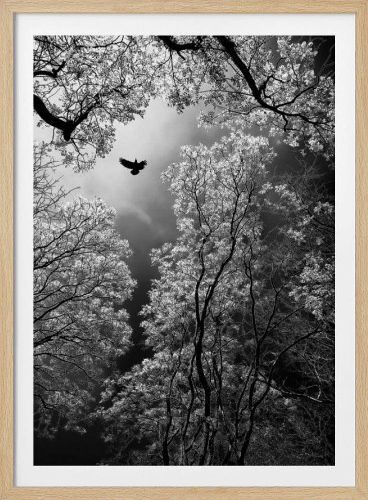 Vlucht | Poster
