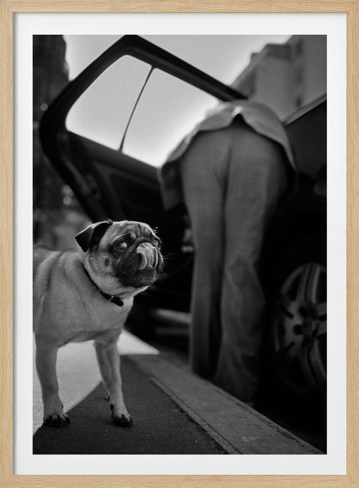 Zonder titel | Poster