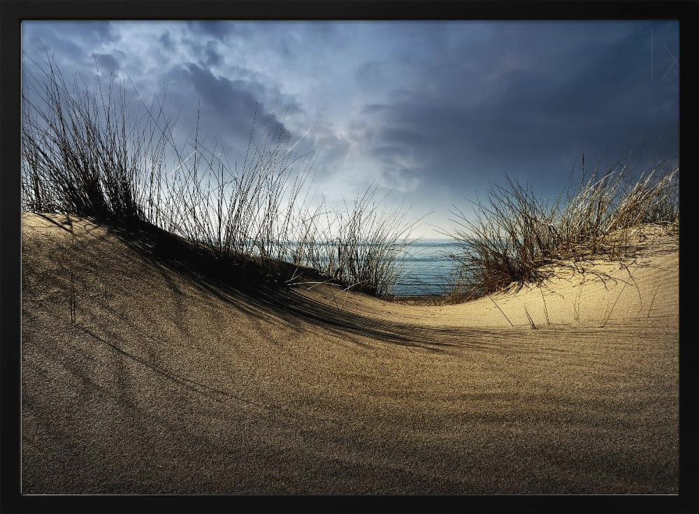 Duinen........... | Poster