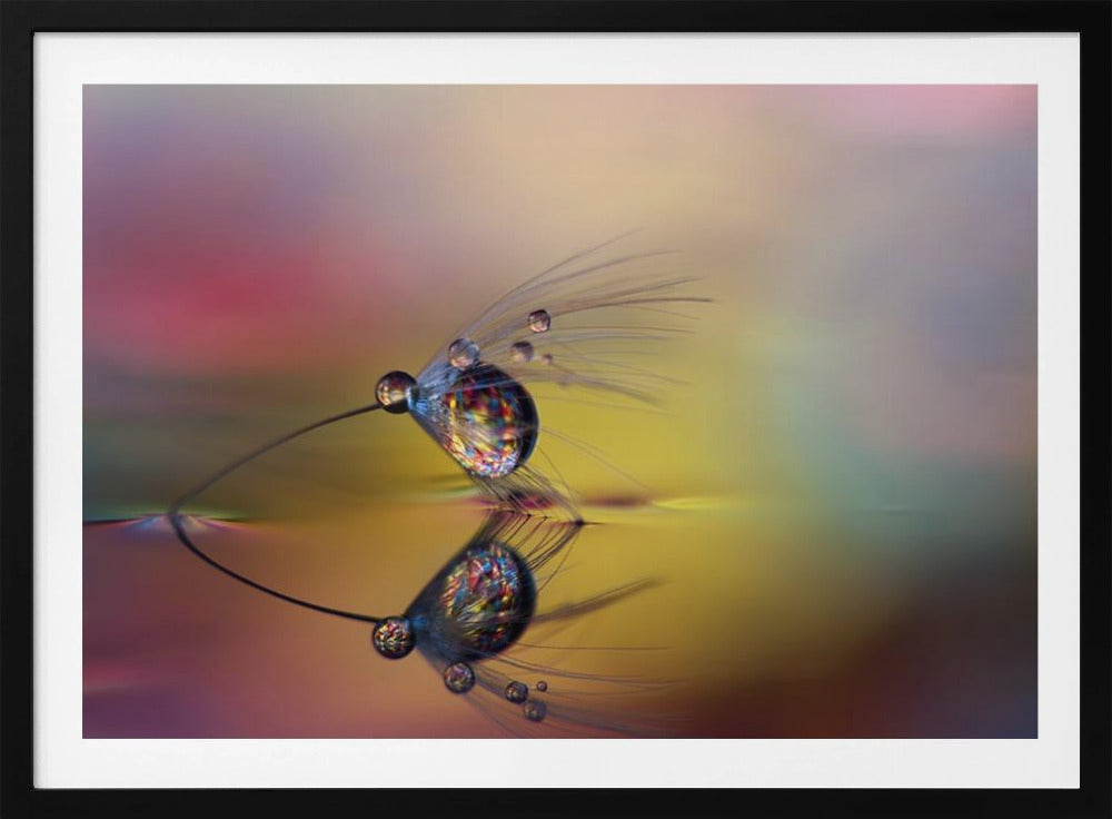 Kleur de duisternis | Poster
