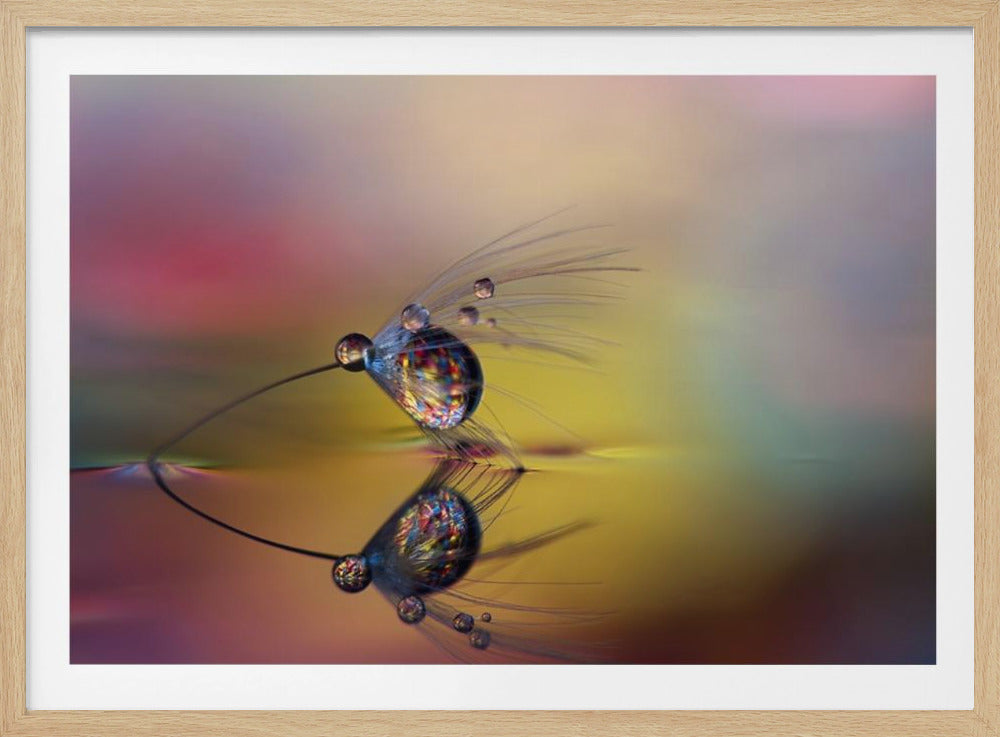 Kleur de duisternis | Poster