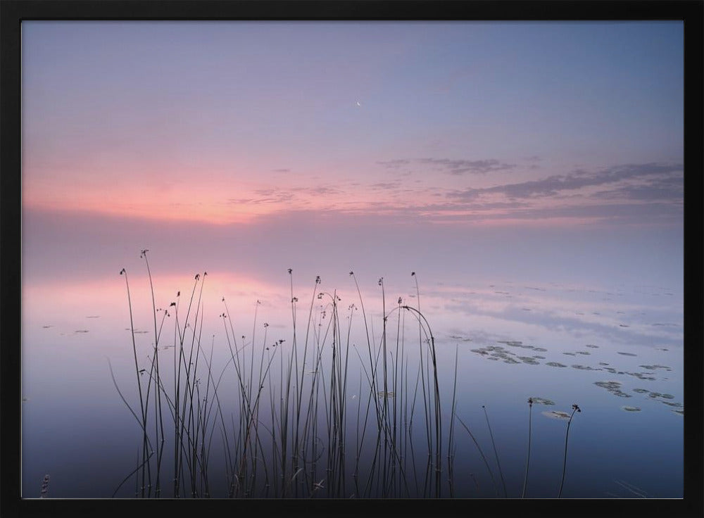 Meer | Poster