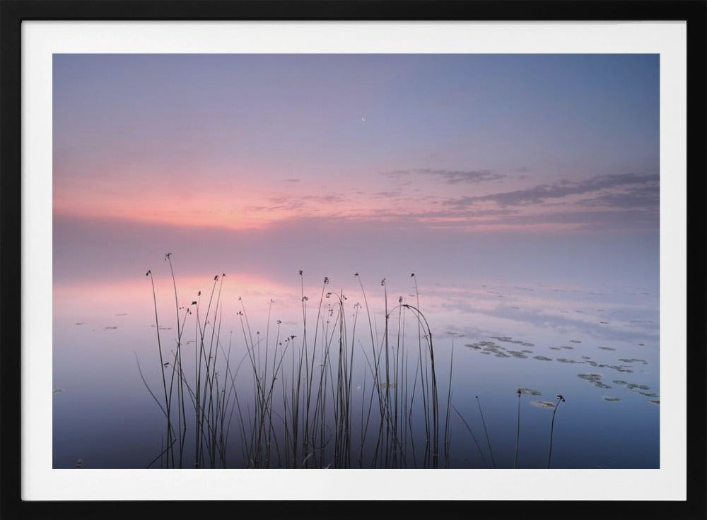 Meer | Poster