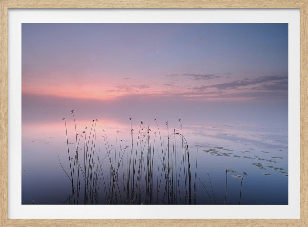 Meer | Poster