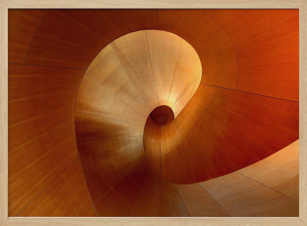 The Curve | Poster