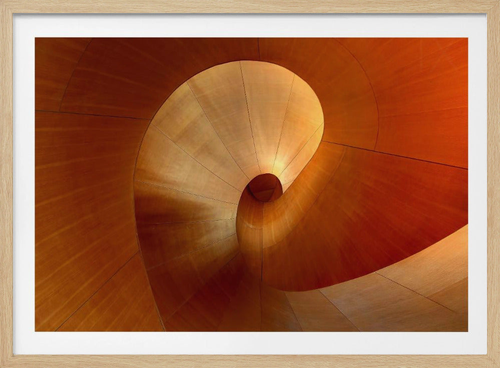 The Curve | Poster