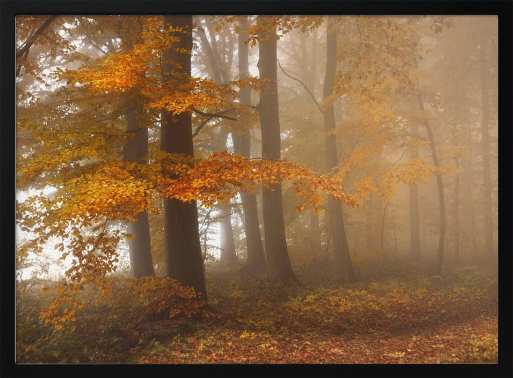 Rand van het bos | Poster