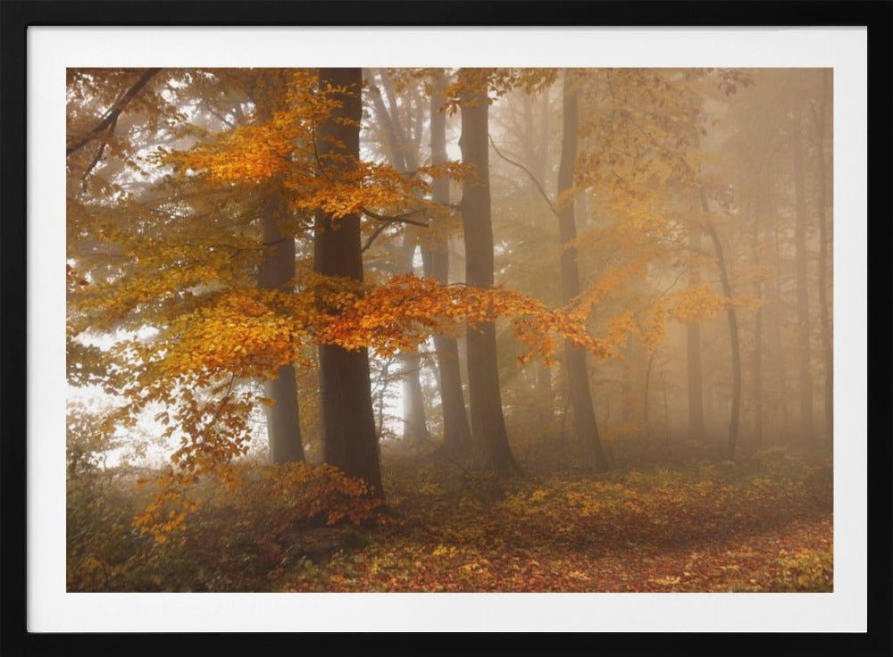 Rand van het bos | Poster